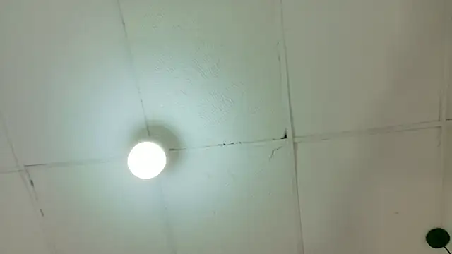 kendalltaylorr online show from 03-06-26, 04:42