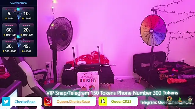 Snapshot of cheriserozequeen chatting on 12-22-24, 10:25 cheriserozequeen online show from 12-22-24, 10:25