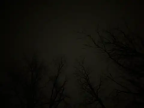 Snapshot of watermellonpussy chatting on 03-23-25, 06:37 watermellonpussy online show from 03-23-25, 06:37