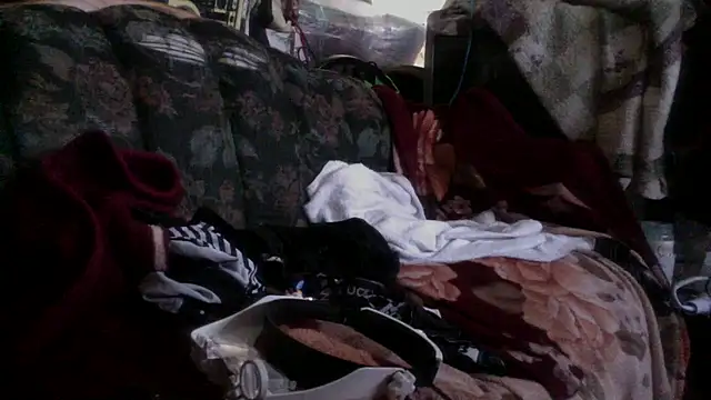 Phelyxx elgato online show from 12-09-24, 12:12