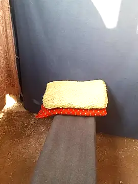 Snapshot of Burhade-- chatting on 10-12-25, 11:31 Burhade-- online show from 10-12-25, 11:31