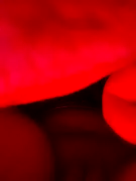 vulgovic  online show from 06-05-26, 06:52
