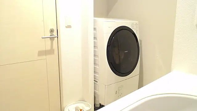 Snapshot of Kakushi_dori chatting on 12-16-24, 05:00 Kakushi dori online show from 12-16-24, 05:00