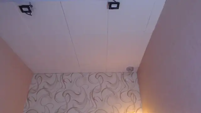 LiaHarryis online show from 03-15-25, 01:07