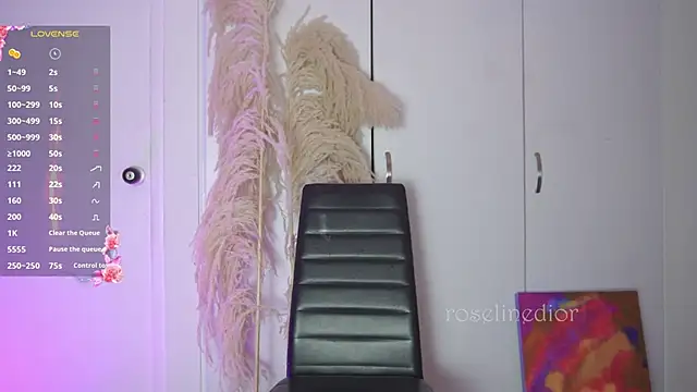 roselinedior online show from 11-12-25, 11:47