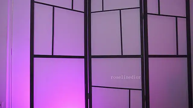 roselinedior online show from 02-27-26, 07:36