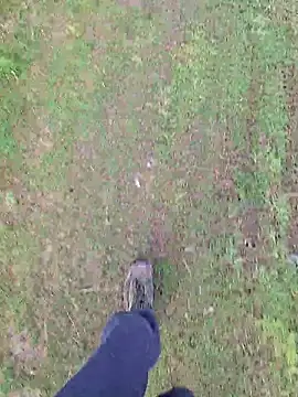 FreezingTie850 online show from 04-16-26, 07:53