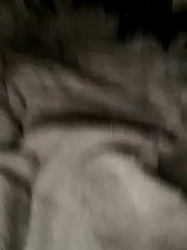 Tigerhill2023 online show from 10-27-25, 09:13