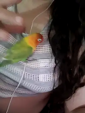 Zanoba-16 online show from 02-15-25, 12:22