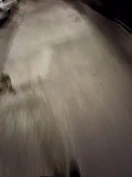 BandidodeAmores 84 online show from 10-19-25, 03:07