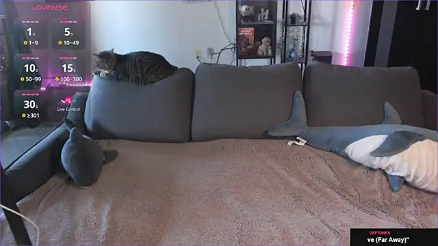 Snapshot of Clairedelilah chatting on 01-21-25, 08:32 Clairedelilah online show from 01-21-25, 08:32