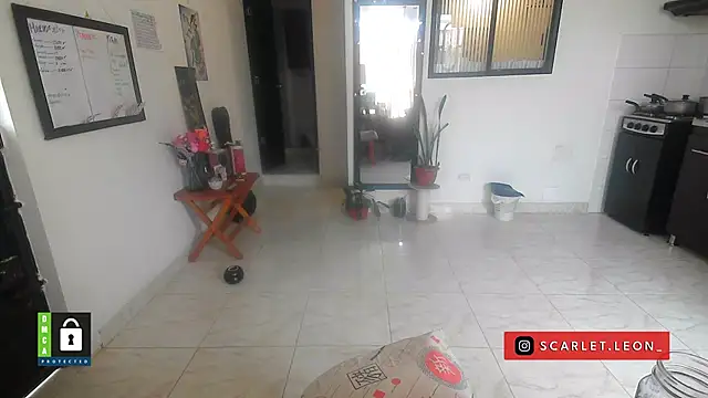 Scarletleon77 online show from 04-16-26, 02:07