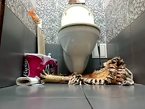 zsd off online show from 11-08-25, 12:27