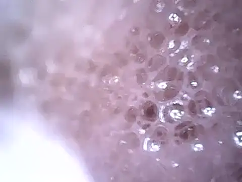 Snapshot of Beijing2000 chatting on 12-19-24, 02:45 Beijing2000 online show from 12-19-24, 02:45