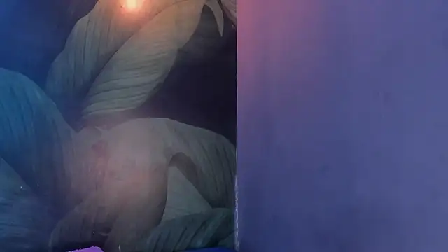 sweett dirty online show from 02-01-25, 03:28