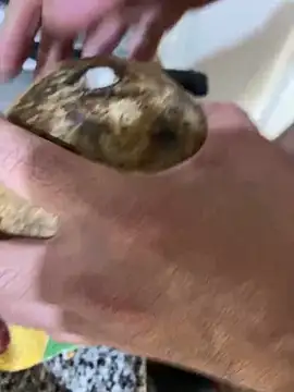 Snapshot of FlorBich chatting on 12-08-24, 11:08 FlorBich online show from 12-08-24, 11:08