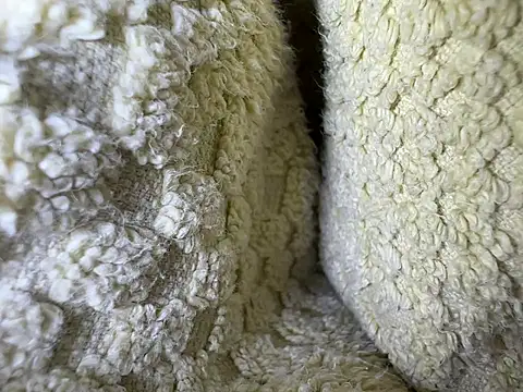 Snapshot of Amarok39 chatting on 02-13-25, 12:54 Amarok39 online show from 02-13-25, 12:54