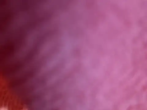 Snapshot of Amarok39 chatting on 10-18-25, 07:47 Amarok39 online show from 10-18-25, 07:47