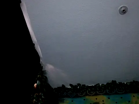 chanel 1041 online show from 01-03-25, 09:36