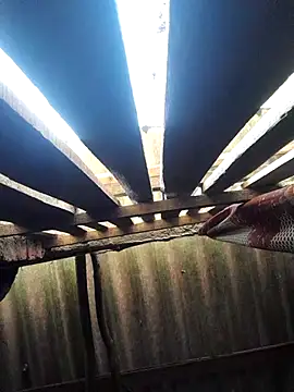 Snapshot of HotSexyBoudi chatting on 10-16-25, 08:48 HotSexyBoudi online show from 10-16-25, 08:48