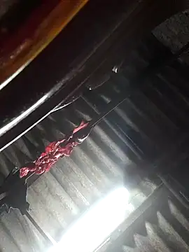 Snapshot of HotSexyBoudi chatting on 11-04-25, 08:46 HotSexyBoudi online show from 11-04-25, 08:46