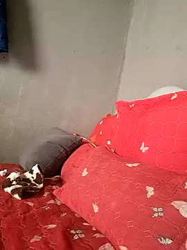 Petrossa online show from 01-13-26, 11:48