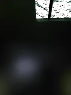 Rikipollav online show from 04-29-26, 02:59