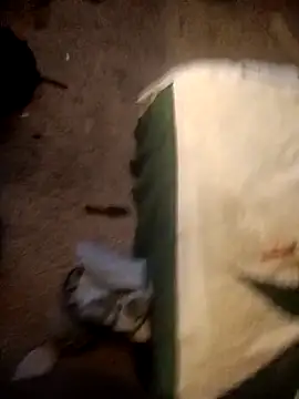 ySqmbVanbe online show from 10-10-25, 02:32