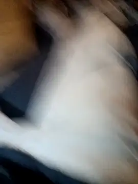 ySqmbVanbe online show from 11-11-25, 07:14