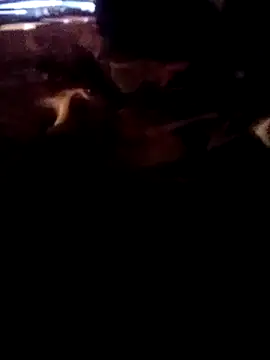 ySqmbVanbe online show from 03-02-26, 07:59