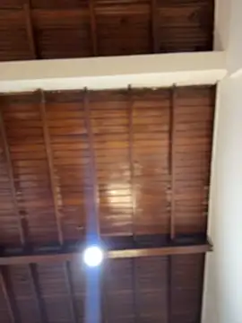 emiss  online show from 02-08-26, 03:59