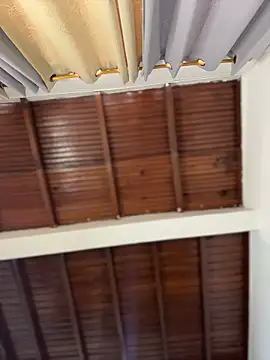 emiss  online show from 03-15-26, 06:25