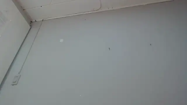 Emma-Wilson online show from 03-14-25, 02:19