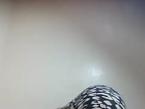 Snapshot of Creamy_candy17 chatting on 10-03-25, 01:41 Creamy candy17 online show from 10-03-25, 01:41