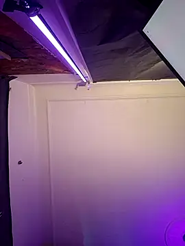 Tony Torrente online show from 03-17-26, 07:55