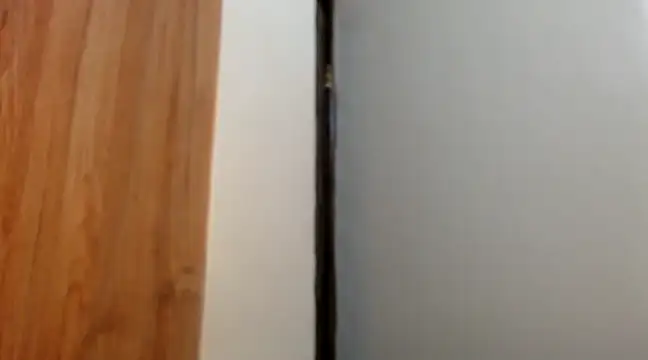 wetpussy ebony online show from 02-11-25, 06:19