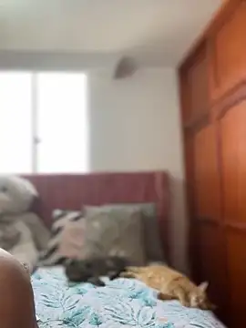 Snapshot of ValerieHilton chatting on 03-12-25, 09:13 ValerieHilton online show from 03-12-25, 09:13