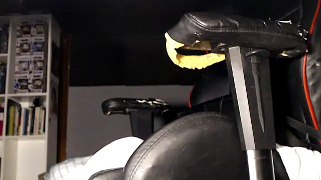 LapijARG7 online show from 11-21-25, 03:11