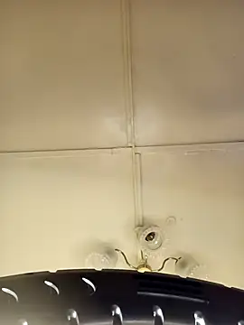    Midnight    online show from 03-15-26, 02:06