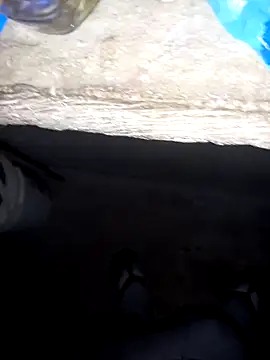 pujarteag online show from 04-08-26, 05:51