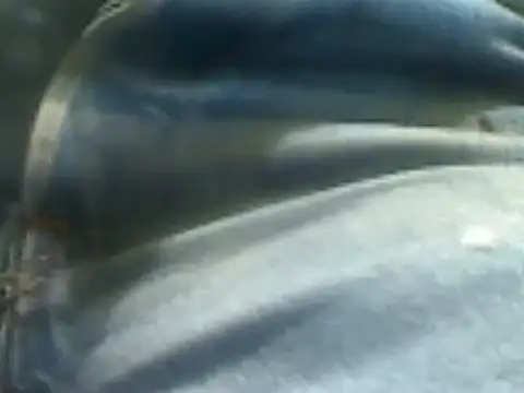 markluvskitty online show from 02-07-25, 02:15