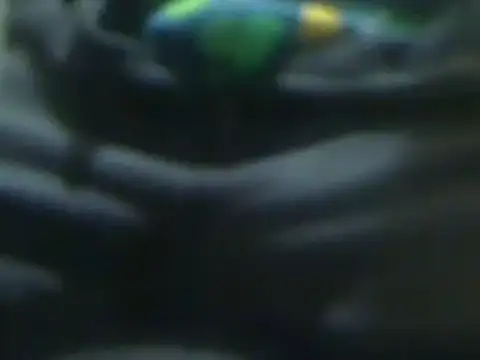 markluvskitty online show from 03-14-25, 01:24