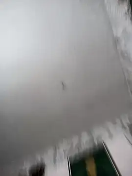 biancchi online show from 02-20-26, 11:11