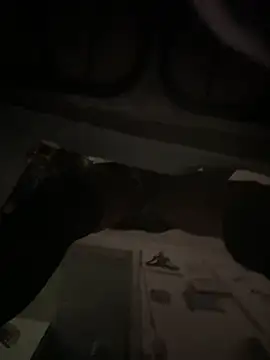 Snapshot of Mune_Raez_6 chatting on 09-18-25, 04:42 Mune Raez 6 online show from 09-18-25, 04:42