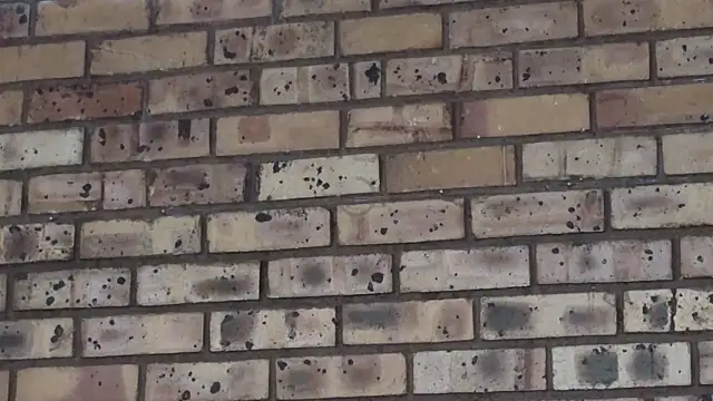 Snapshot of Astoria_Moon chatting on 12-21-24, 02:15 Astoria Moon online show from 12-21-24, 02:15