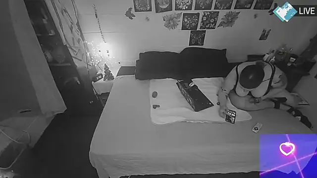 Snapshot of DreamCadian chatting on 12-23-24, 11:47 DreamCadian online show from 12-23-24, 11:47