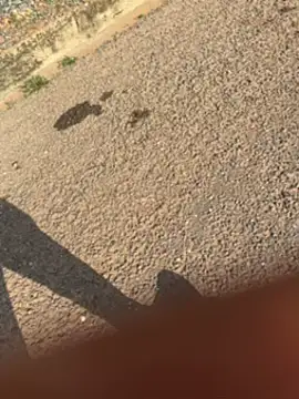 Black-mamba-madingo online show from 09-30-25, 03:39