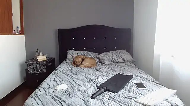 Emilia 1995 online show from 02-11-25, 12:48