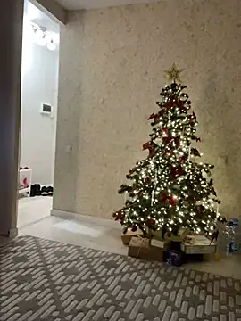 Big Mini online show from 12-25-24, 04:43