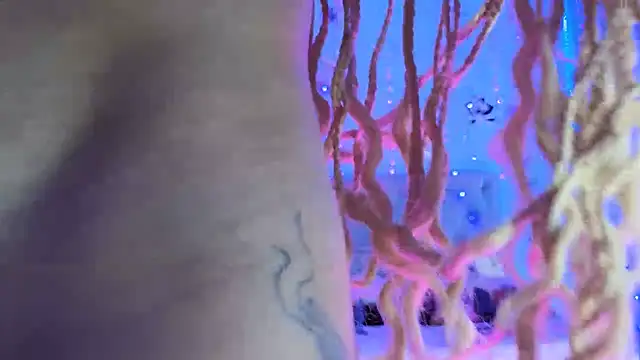 Snapshot of gabbiefoxthx chatting on 02-01-25, 11:58 gabbiefoxthx online show from 02-01-25, 11:58